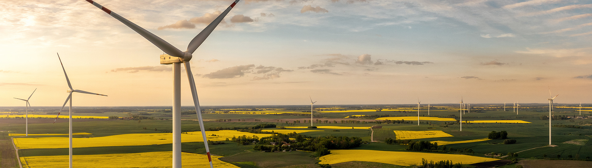 Wind Farm